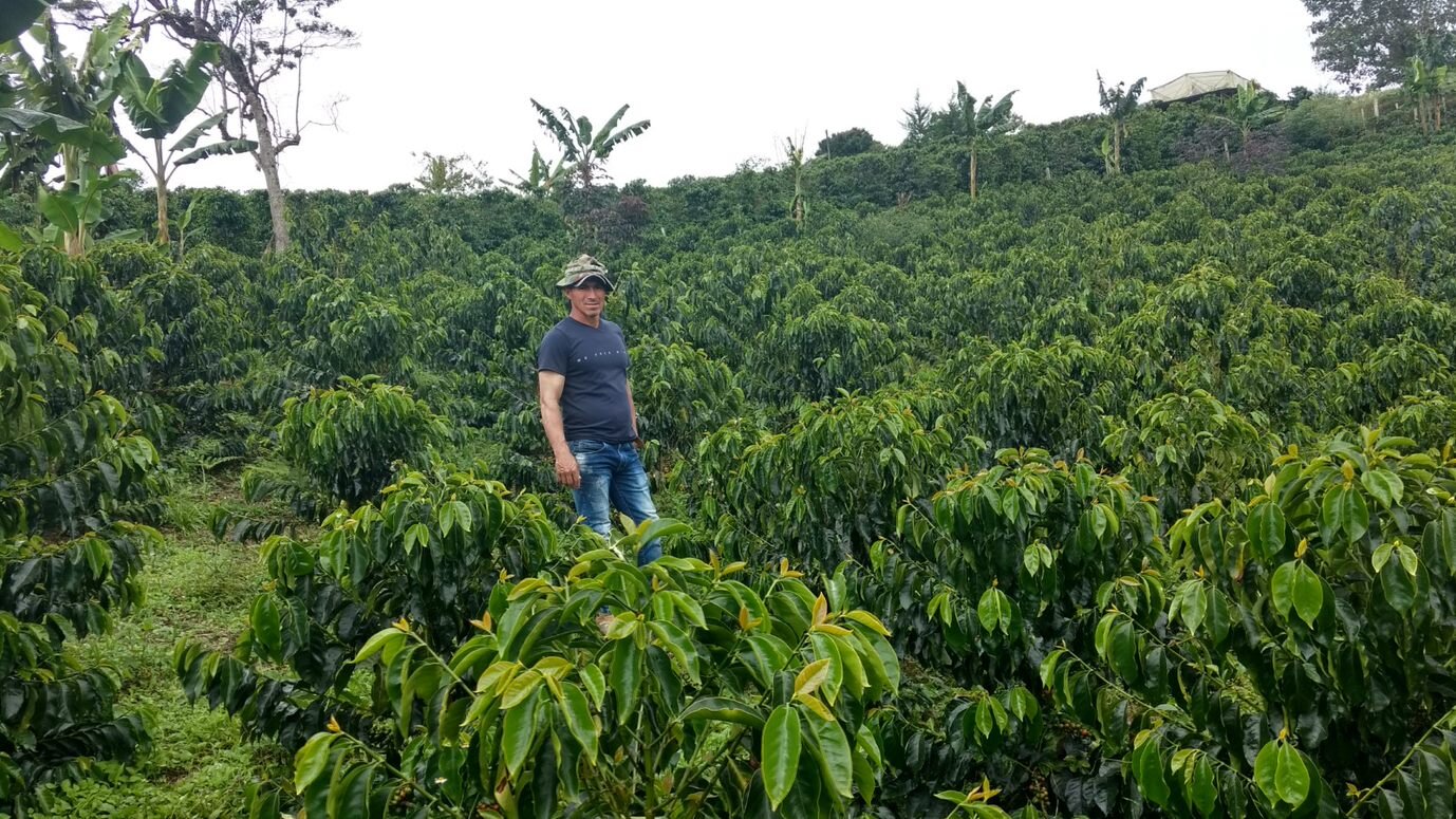 Café El Blend