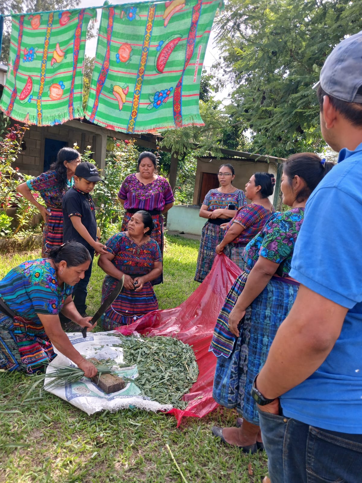 La Tostadora (Café Competición)