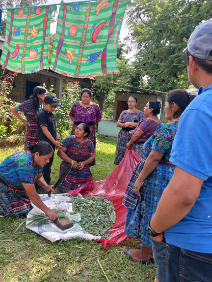 La Tostadora (Café Competición)