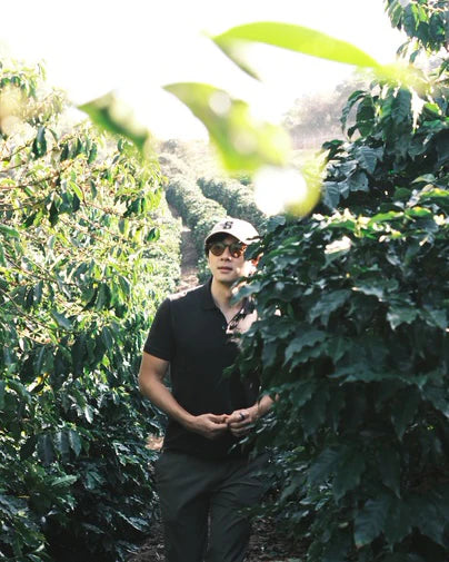 Café La Brewer